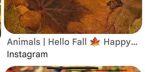 Licks and leaves