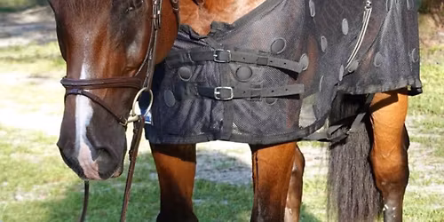 Midwest Horse Fair 2026