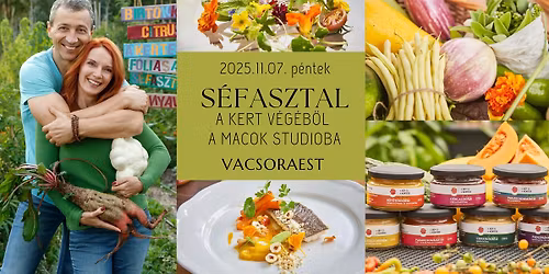 S\u00c9FASZTAL | A Kert v\u00e9g\u00e9b\u0151l a Macok Studioba