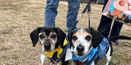 Triangle Beagle Rescue Adopt a thon at Rosecomb in Cary