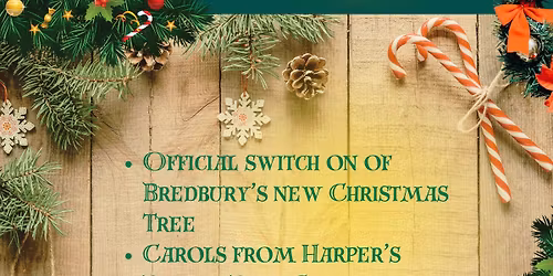 Bredbury Christmas Tree Lighting Ceremony