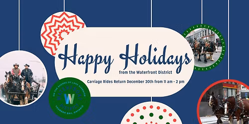 \ud83c\udf84Holiday Horse & Carriage Rides in the Waterfront District \ud83c\udf84