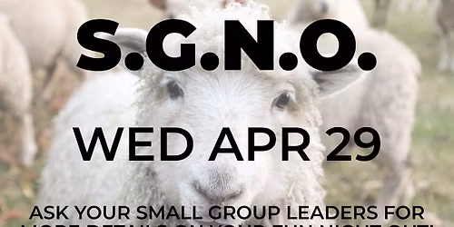 SGNO - Small Group Night Out