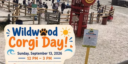 South Jersey Corgis Wildwood Beach Day