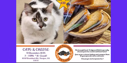 Cats & Cheese