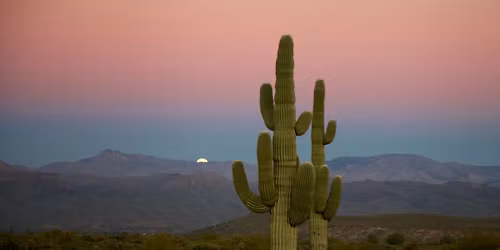 Clearview Community Blood Drive