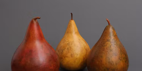 Pear Gourds - November 8