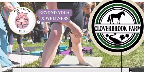 Piggies & pilates at Cloverbrook Farm!