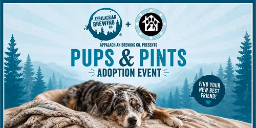 Gettysburg, PA - Pups & Pints Adoption Event