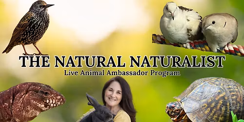 The Natural Naturalist: Live Animal Ambassador Program