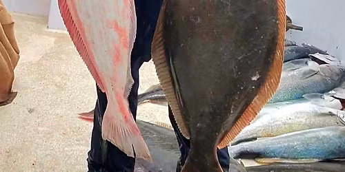 July 9th, 2026 - Overnight Charter\/w Mirage Sportfishing