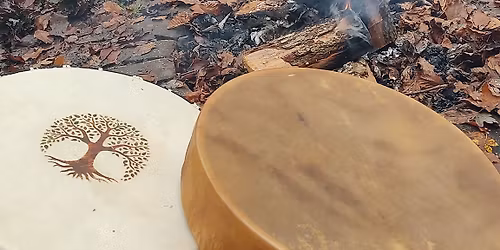 Drumming in the Woods - Box Moor Trust