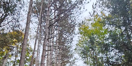 Guided Hike: National Take A Hike Day 