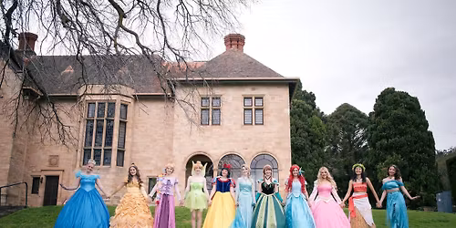 Princess Day At The Castle