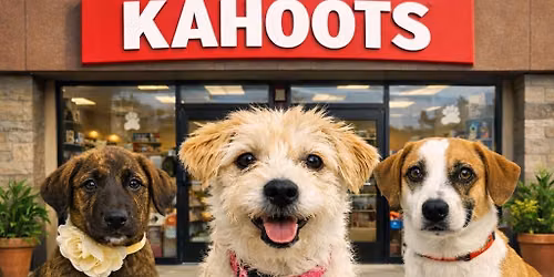 The DeTommaso Dogs Adoption Event at Kahoots Rancho San Diego