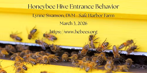 Haywood County Beekeepers - Honeybee Hive Entrance Behavior VIA Zoom