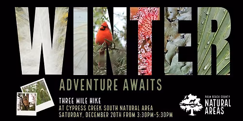 Adventure Awaits - Hike at Cypress Creek South Natural Area