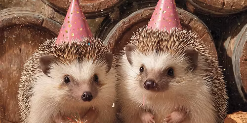 Hedgehogs \ud83e\udd94 \ud83e\udd94 @ 6 Barrels, Totton