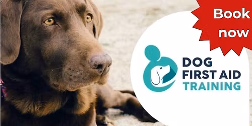 Cannock - Dog First Aid Course 🐶💝