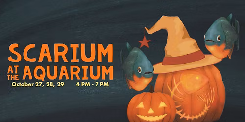 Scarium at the Aquarium 2026