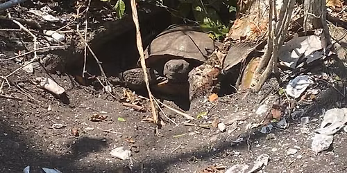 Calusa Land Trust - Annual Membership Meeting (non-members welcome!)