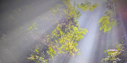 \u09ac\u09be\u09a8\u09cd\u09a6\u09b0\u09ac\u09be\u09a8\u09c7\u09b0 \u09b0\u09b9\u09b8\u09cd\u09af\u09ae\u09df \u0986\u09a8\u09cd\u09a7\u09be\u09b0\u09ae\u09be\u09a8\u09bf\u0995 \u0985\u09ad\u09bf\u09af\u09be\u09a8\u09c7 \u099f\u09bf\u09ae \u09ad\u09cd\u09b0\u09ae\u09a3\u0996\u09cb\u09b0