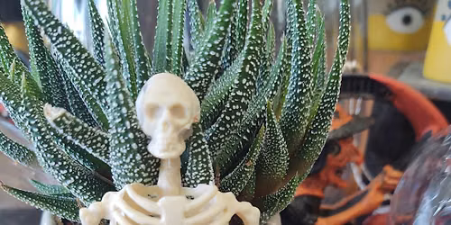 Ceme-Terrarium Workshop