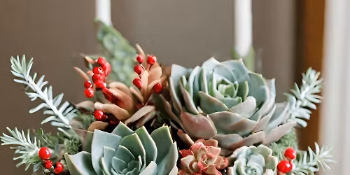 \ud83c\udf84Holiday Succulent Make-&-Take Workshop\ud83c\udf84