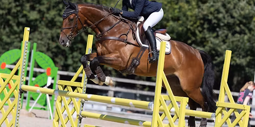 British Show Jumping C2
