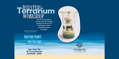 Jellyfish Terrarium Workshop