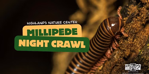 Millipede Night Crawl
