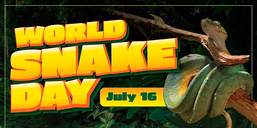 World Snake Day