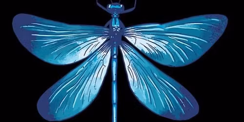 2nd Annual Small Business Saturday Craft Artisan Show