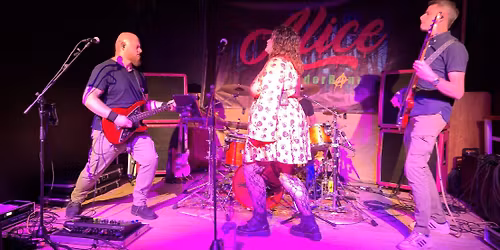 Alice in WonderBand live @ knoalsternacht\/koningsnacht Mingelmous