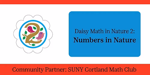 Daisy Math in Nature 2: Numbers in Nature (Cortland, N.Y.)
