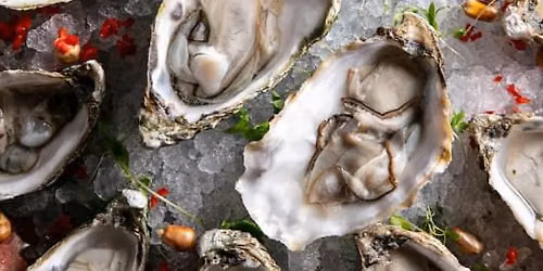 Oysters, Bubbles & Live DJ