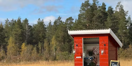 Planteloppis og markedsdag