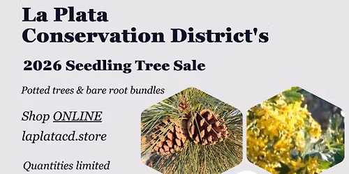 LPCD Seedling Tree Sale Pickup