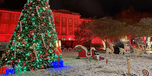 Christmas Tree Lighting & Christmas Market - November 28th 