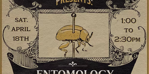 [SOLD OUT] Entomology Class