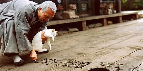 Tavasz, nyár, ősz, tél...és tavasz