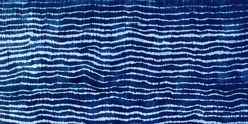 Indigo Resist Dyeing Workshop: Textile Art Series at the Botanical Gardens