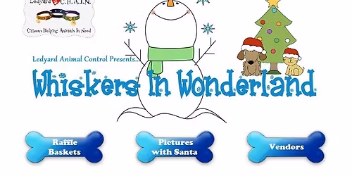 Whisker's In Wonderland