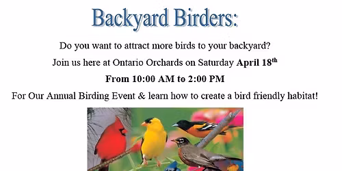 Attract More Birds to Your Yard