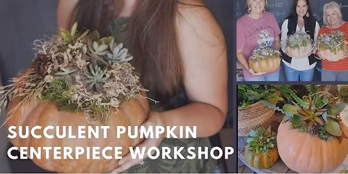 Succulent Pumpkin Centerpiece Workshop\/ Nov 7