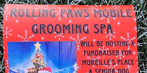 Pictures with The Grinch