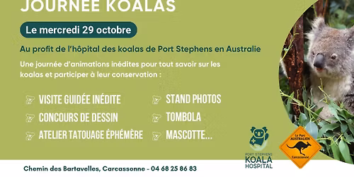 Journ\u00e9e \u00ab koala \u00bb \ud83d\udc28\ud83c\udf3f