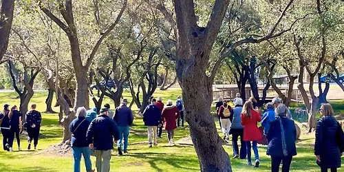 Guided Walk:  Victoria Park \/ Pakapakanthi NORTH