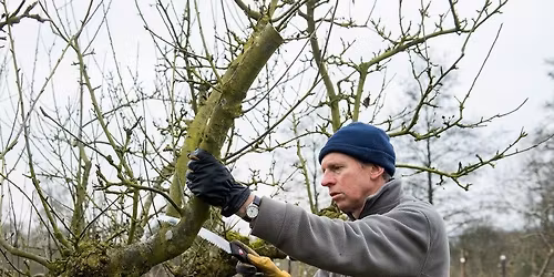 Apple Pruning Workshop