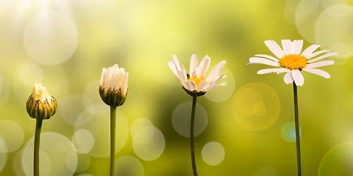 Spring Awakening Half-Day Yoga Retreat